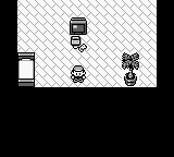 Pokemon - Rote Edition (Germany) In game screenshot